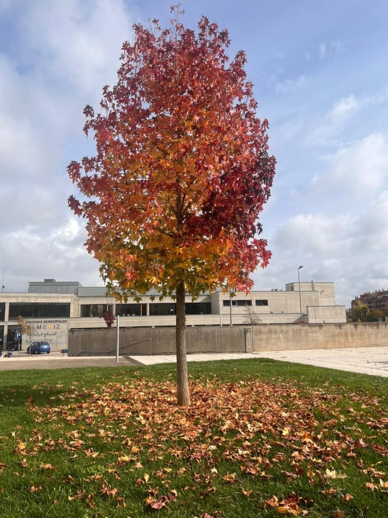 whatsapp image 2026 01 16 at 15.22.22