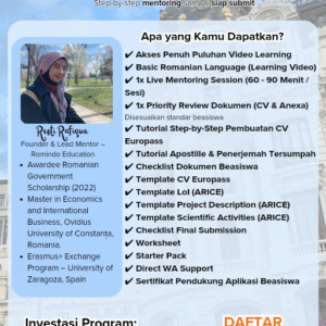 silver 1 on 1 mentoring mfa / arice